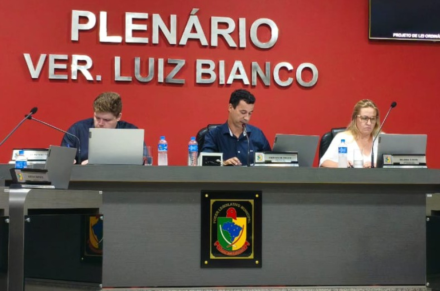 Câmara de São Ludgero aprova projeto que institui mês de valorização das pessoas com deficiência