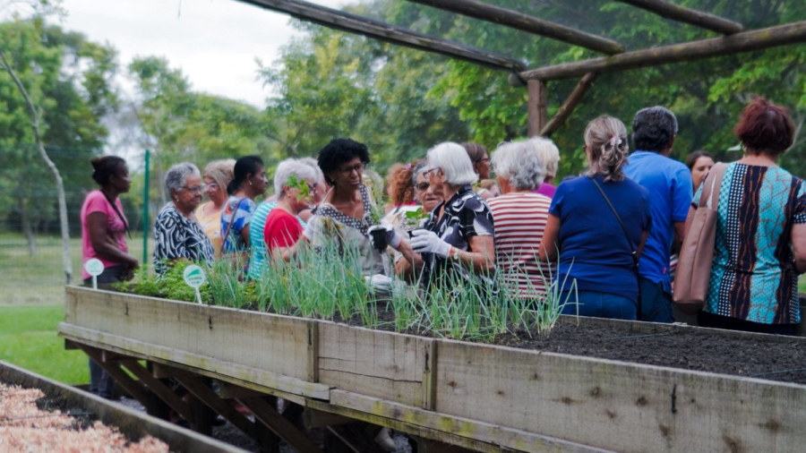 Horta dos Saberes abre inscrições para idosos em Capivari de Baixo