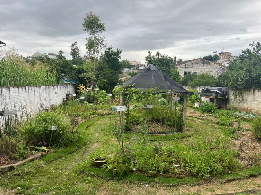 Projeto de R$ 4,5 milhões no Oeste revoluciona produção de pequenos agricultores