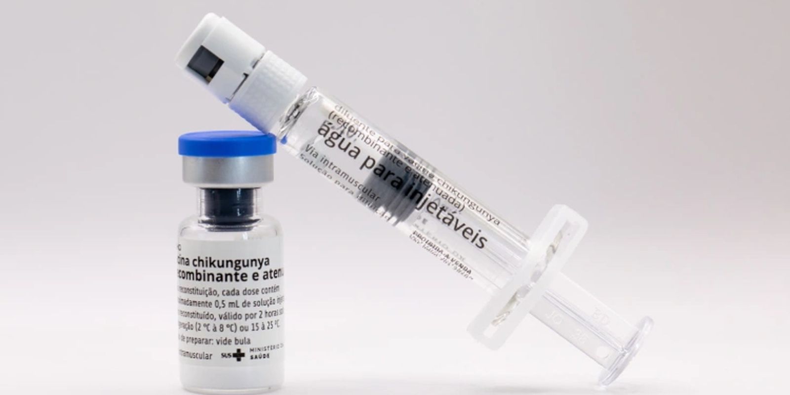 Butantan vai produzir vacina nacional contra chikungunya 