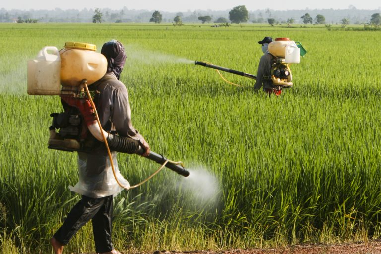 Comissão debate efeitos dos herbicidas hormonais sobre a saúde e a biodiversidade