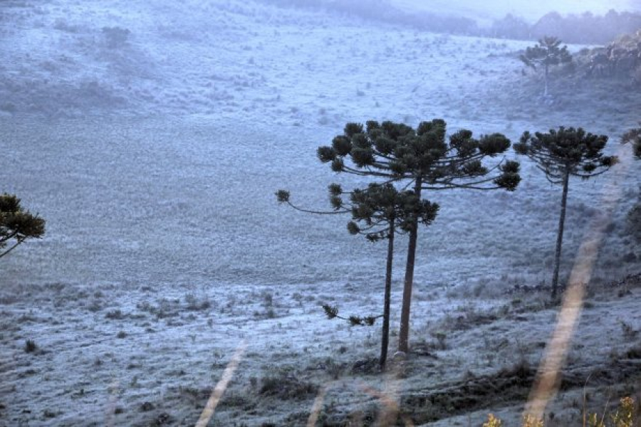 Serra de SC registra sincelo, neve fraca e temperaturas negativas