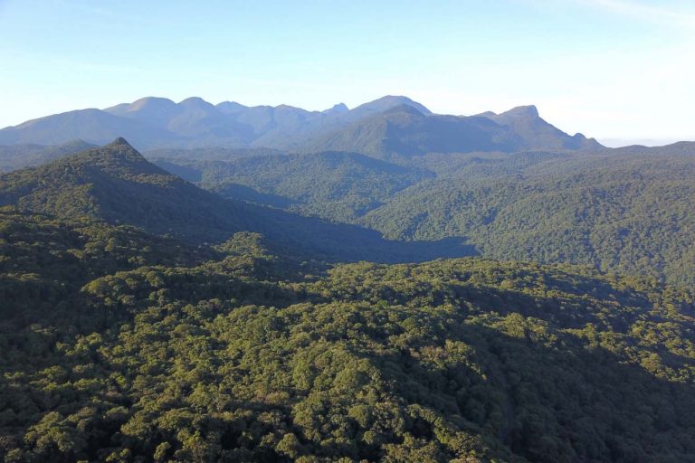Comissão debate papel da Mata Atlântica na adaptação às mudanças climáticas; participe