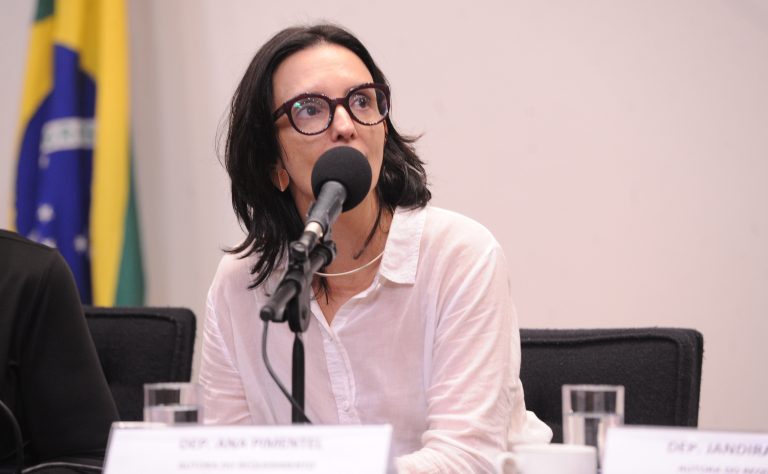 Comissão debate proteção a produtores rurais afetados pelas chuvas na Zona da Mata mineira