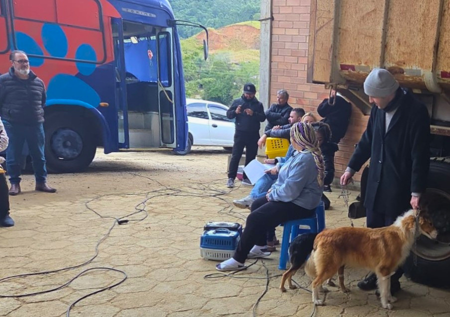 Prefeitura de Gravatal realiza Mutirão de Castração Animal com 88 procedimentos