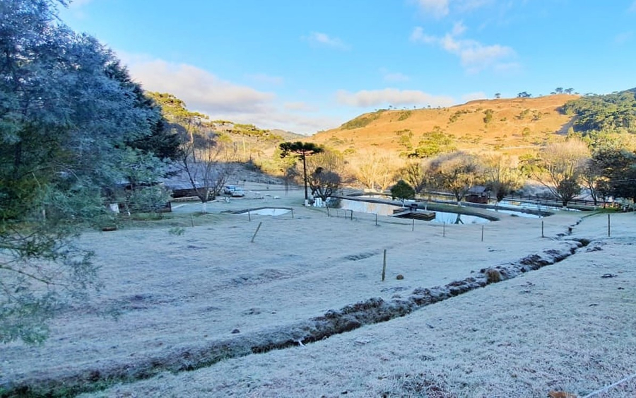 Bom Jardim da Serra registra -9,1°C durante madrugada gelada
