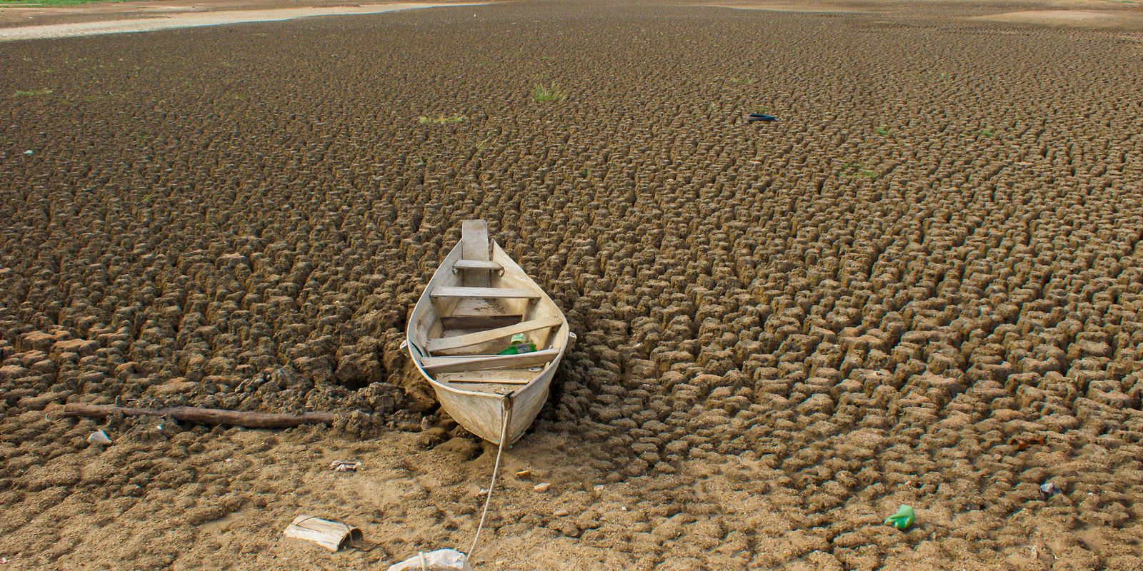 Brasil promete restaurar 163 mil km² de terras degradadas até 2030 