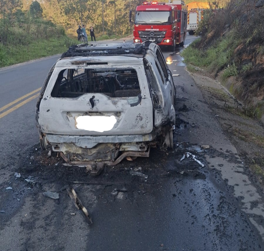 Veículo pega fogo e chamas atingem vegetação à margem de rodovia em Santa Rosa de Lima